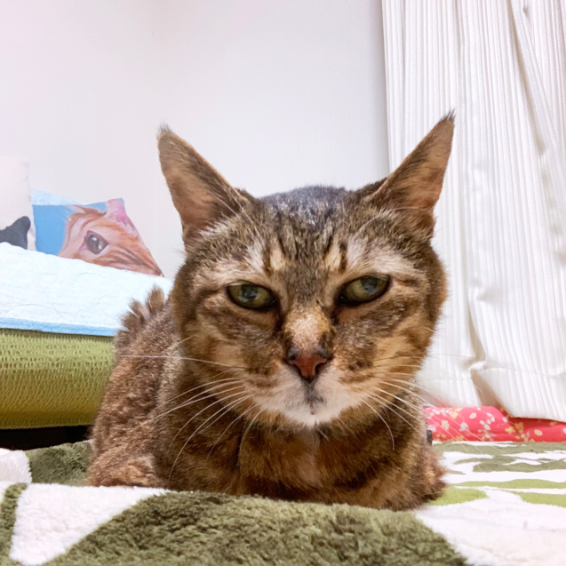ちょっとお薬効いてきたかな?_d0355333_19562335.jpg