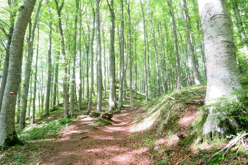 f0234936_63292.jpg