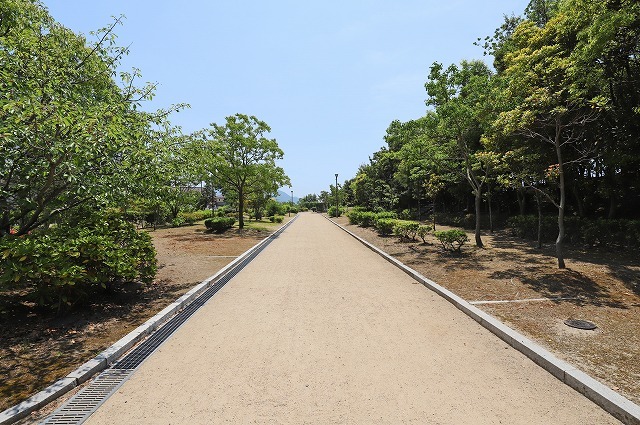 a0242438_16381080.jpg