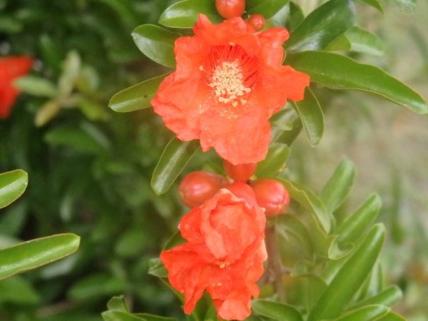 a0054240_20274670.jpg