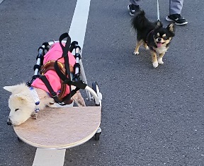 b0080342_11205655.jpg