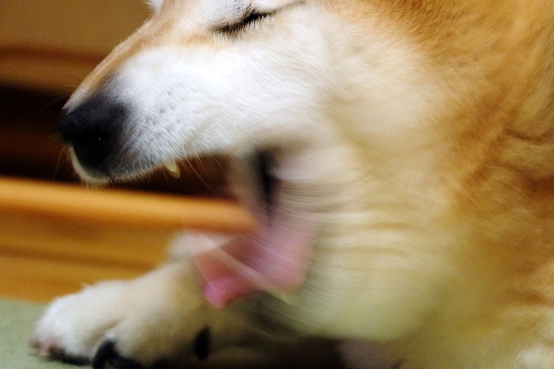 夜の出来事_b0314043_06314739.jpg