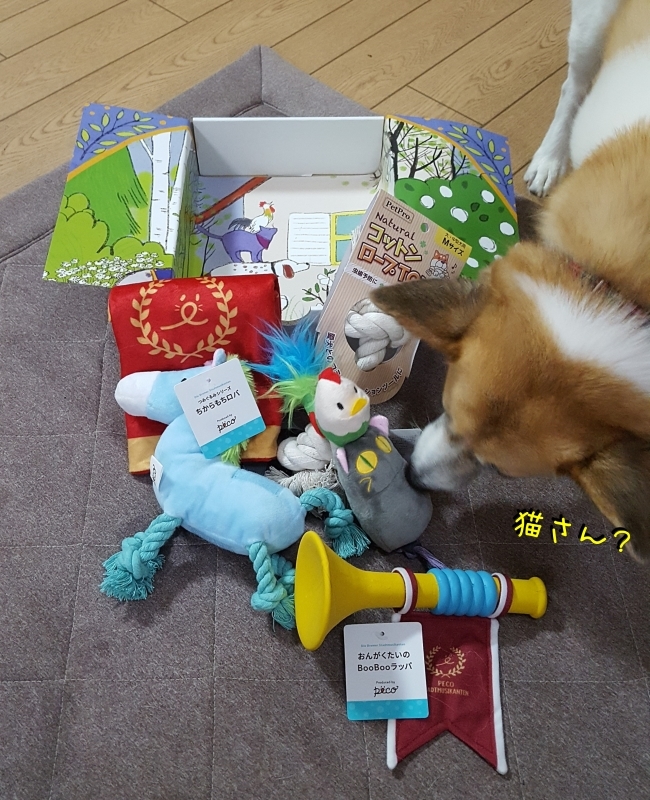 ６月の Peco Box ♡ for Dogs_a0353444_16325581.jpg