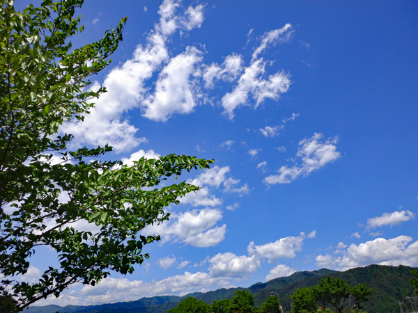 f0055244_10260340.jpg