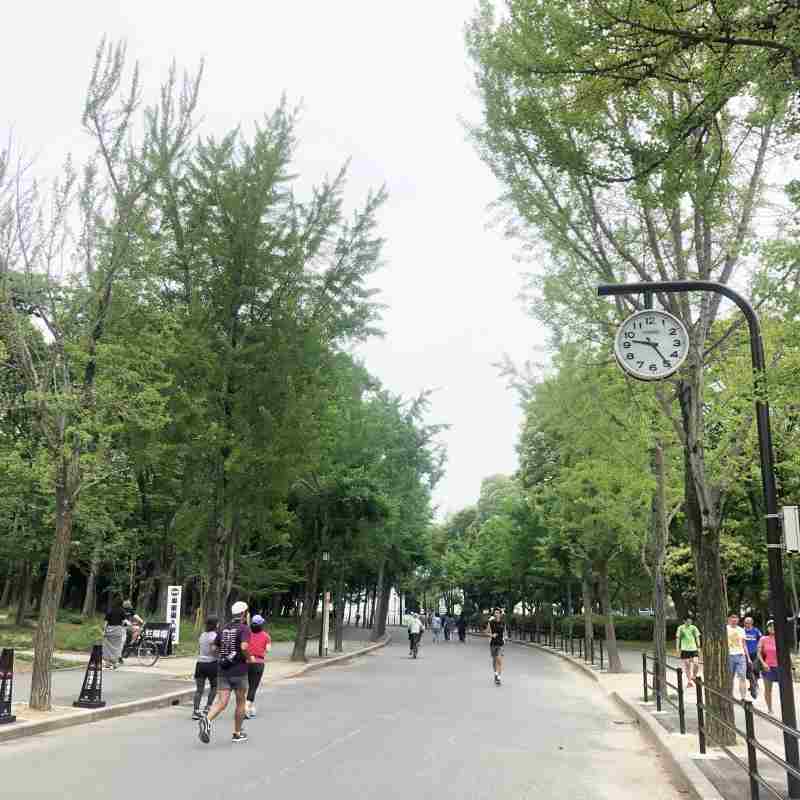 d0151746_17034362.jpg