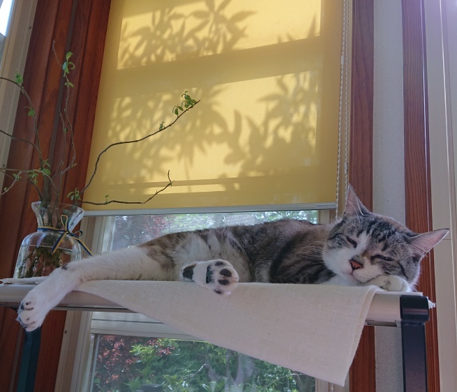 a0317947_11190748.jpeg