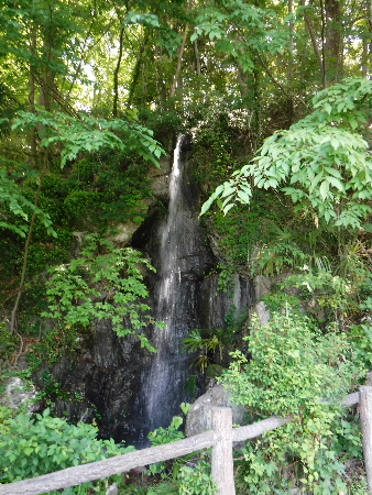 e0172950_74482.jpg