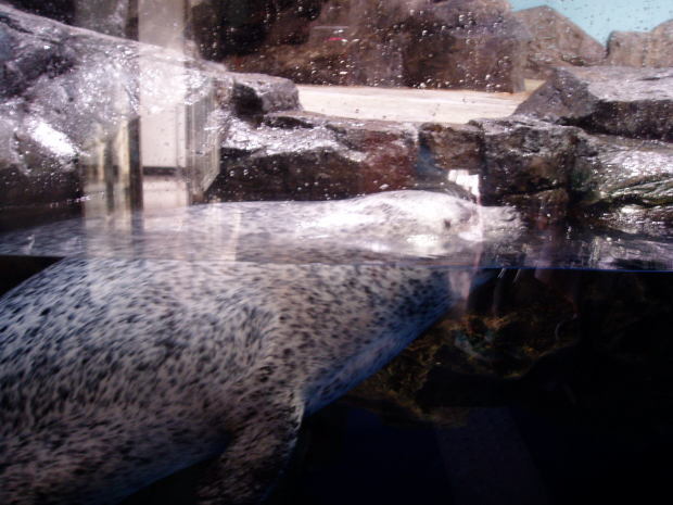 c0017651_16122992.jpg