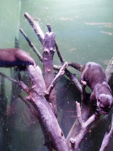 c0017651_16152243.jpg