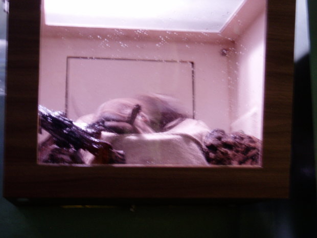 c0017651_16204484.jpg