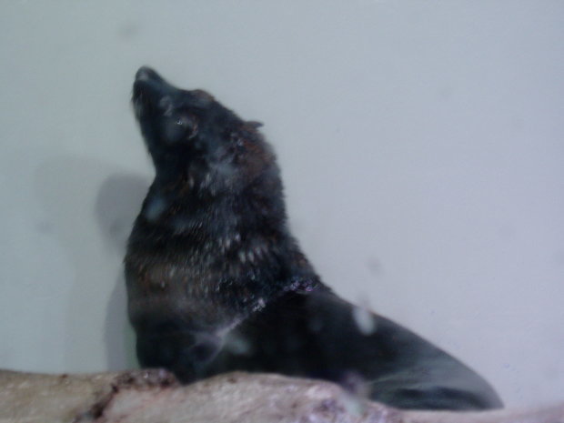c0017651_16273279.jpg