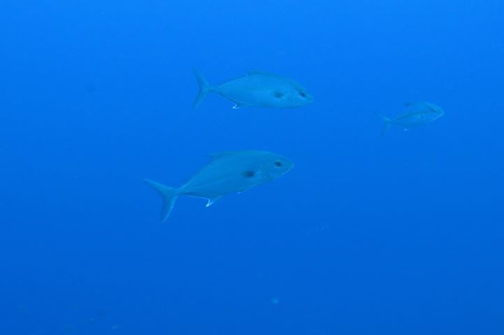 d0076952_18280748.jpg