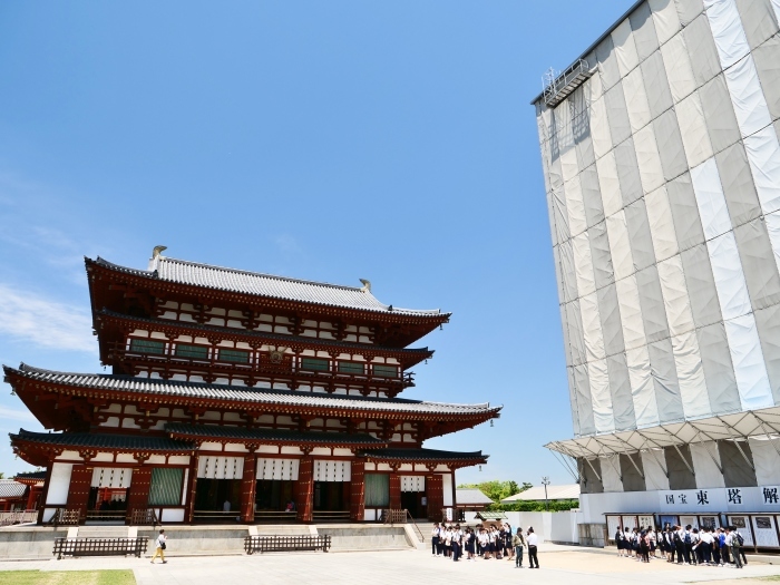 　　奈良・薬師寺　　２０２３-０６-２５　００：００_b0093754_23211649.jpg