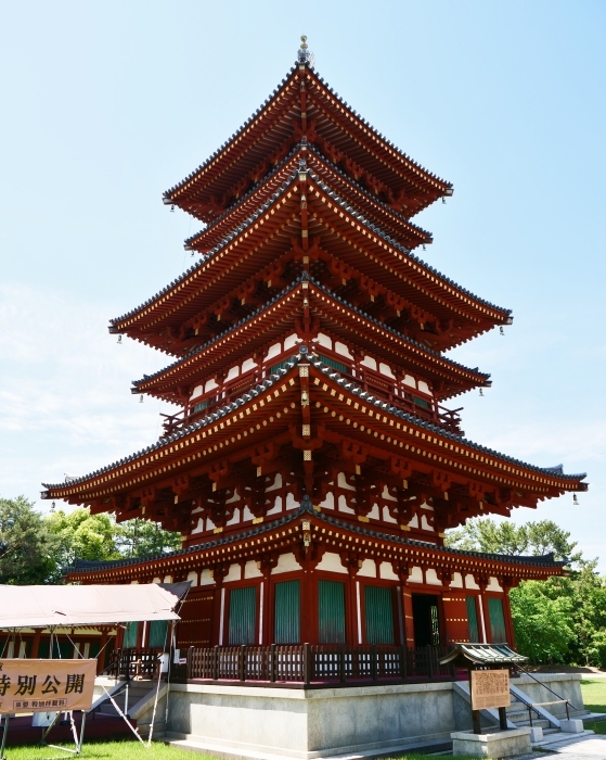 　　奈良・薬師寺　　２０２３-０６-２５　００：００_b0093754_23234442.jpg