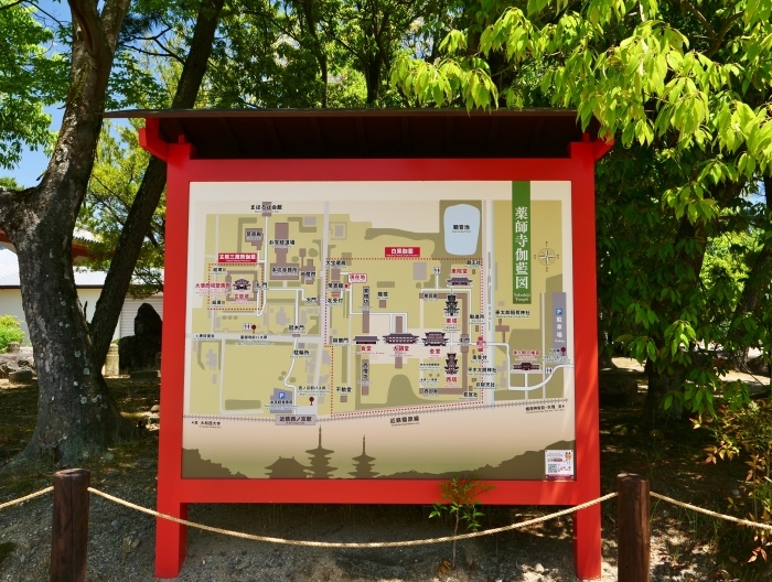 　　奈良・薬師寺　　２０２３-０６-２５　００：００_b0093754_23235554.jpg