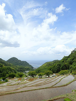 d0054855_10250016.jpg