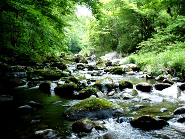 d0283357_02385701.jpg
