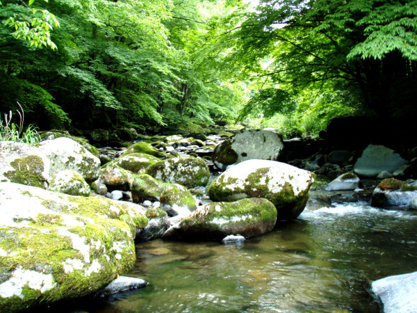 d0283357_02395683.jpg