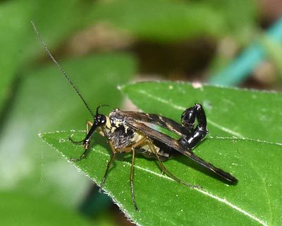 e0035757_20004998.jpg