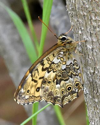 e0035757_20024609.jpg