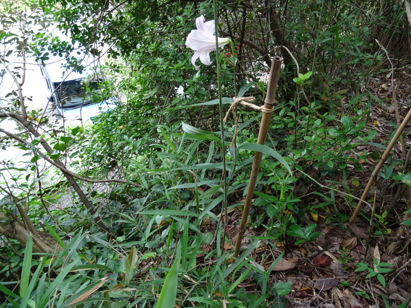 c0108460_16451669.jpg