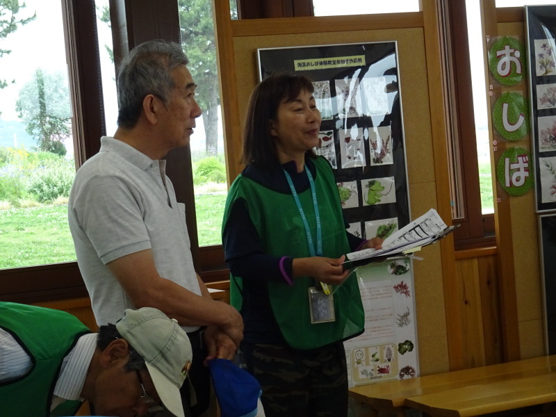 第12回「大阪湾生き物一斉調査」・・・せんなん里海公園_c0108460_20530429.jpg