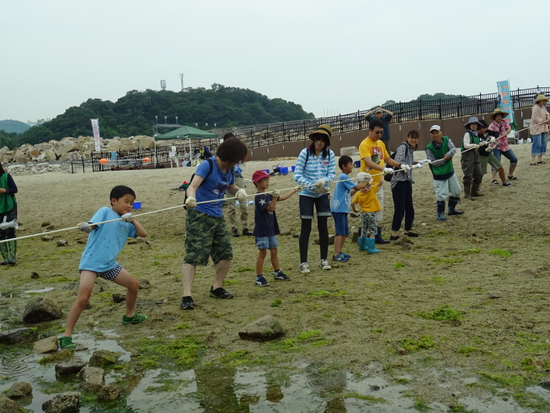 第12回「大阪湾生き物一斉調査」・・・せんなん里海公園_c0108460_20572298.jpg