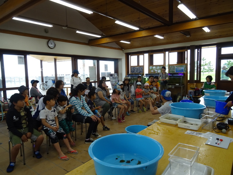 第12回「大阪湾生き物一斉調査」・・・せんなん里海公園_c0108460_21032116.jpg