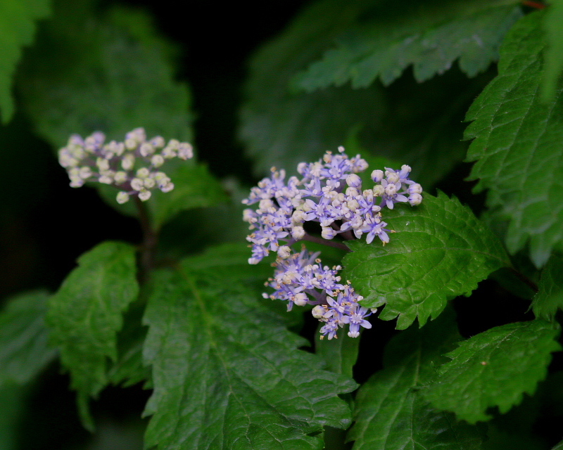c0305565_18001741.jpg