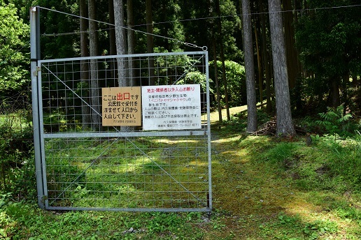 c0303868_09050423.jpg