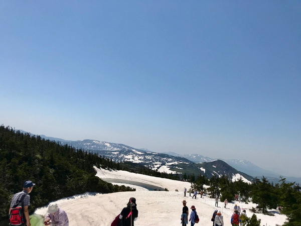 b0299869_15373542.jpg