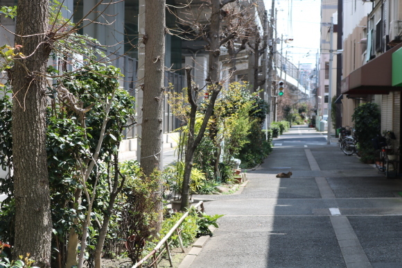 c0001670_21044935.jpg