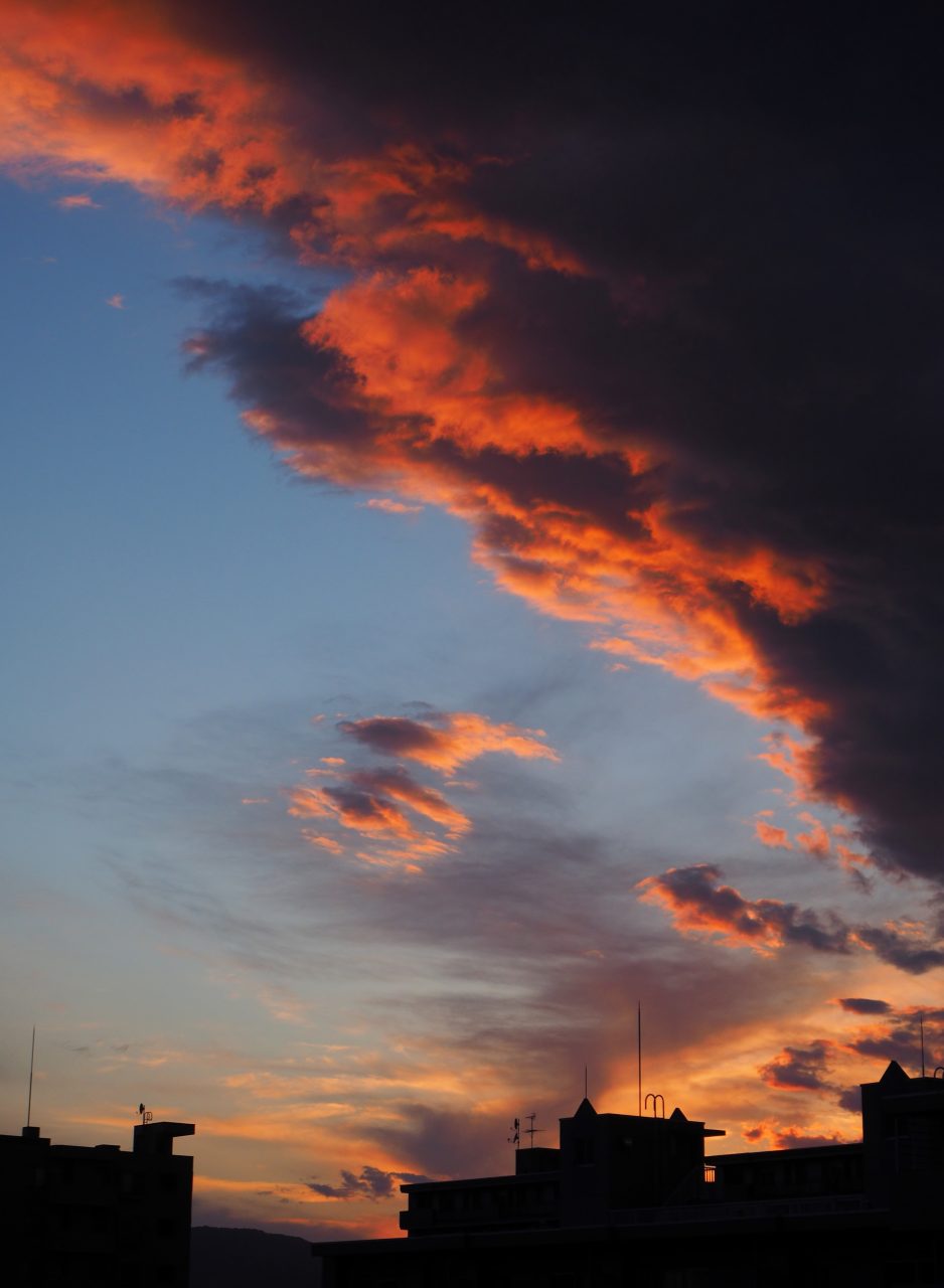 c0183777_7195159.jpg