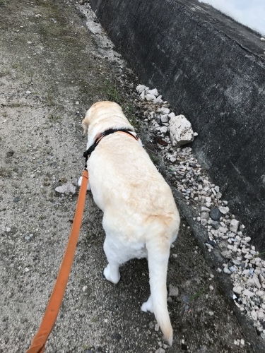f0315081_17434094.jpeg