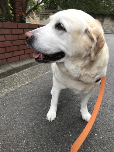 f0315081_17444154.jpeg