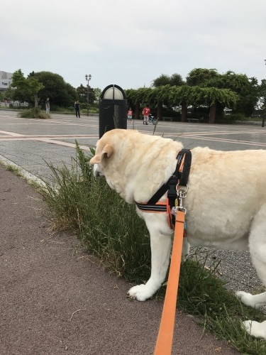 f0315081_17521411.jpeg