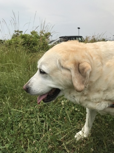 f0315081_17531416.jpeg