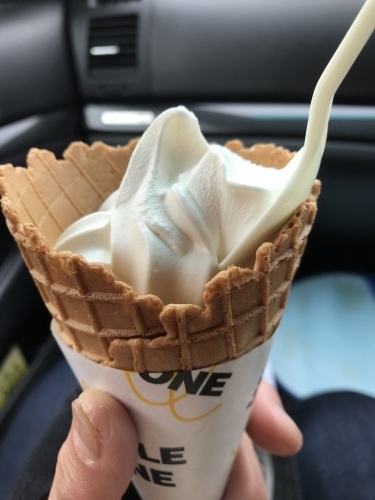 f0315081_17534214.jpeg