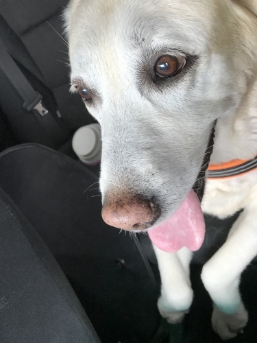 f0315081_17543597.jpeg