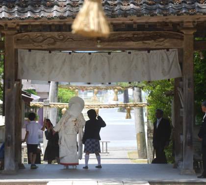 倉田八幡さんで........日陰での撮影がちょうど良い........_b0194185_11290958.jpg