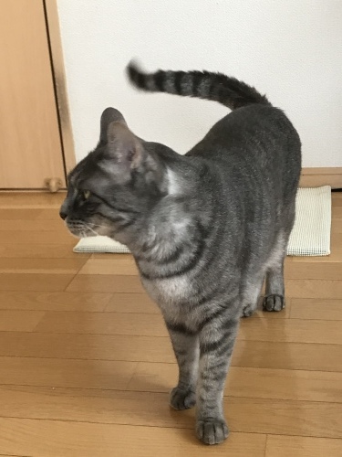 c0340786_14142290.jpeg