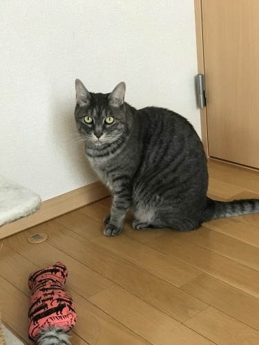 c0340786_14144599.jpeg