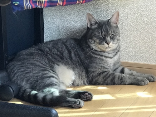 c0340786_14161960.jpeg