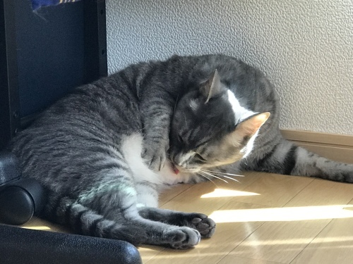 c0340786_14164481.jpeg