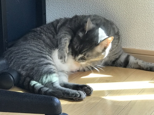c0340786_14165531.jpeg