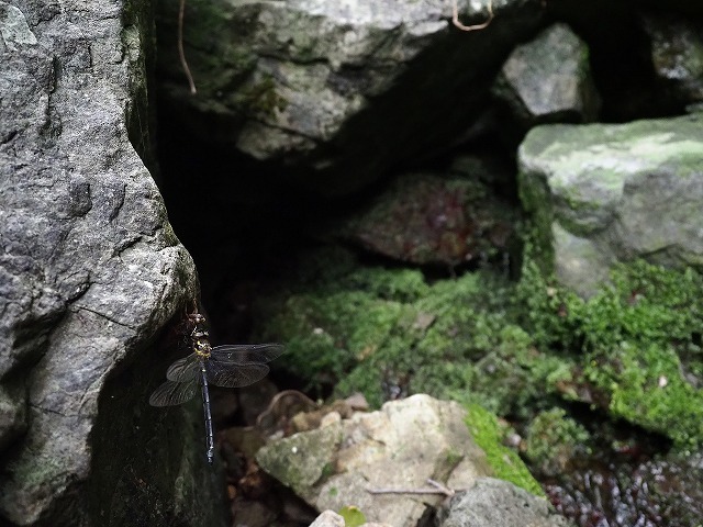 d0156387_17344764.jpg