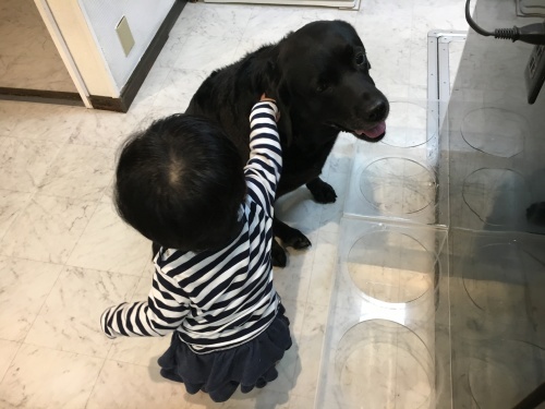 f0347891_20173450.jpeg