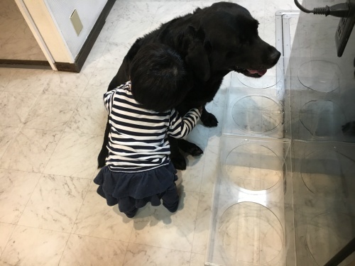 f0347891_20174541.jpeg