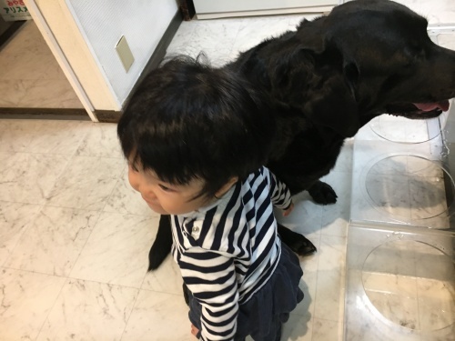 f0347891_20180472.jpeg