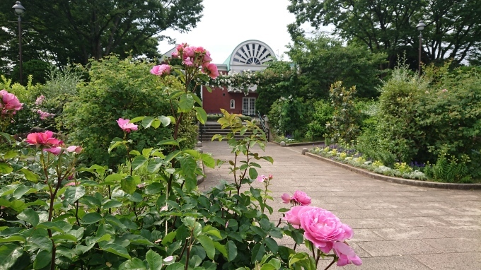 開港記念日、6月2日の港の見える丘公園_b0134195_09332780.jpg